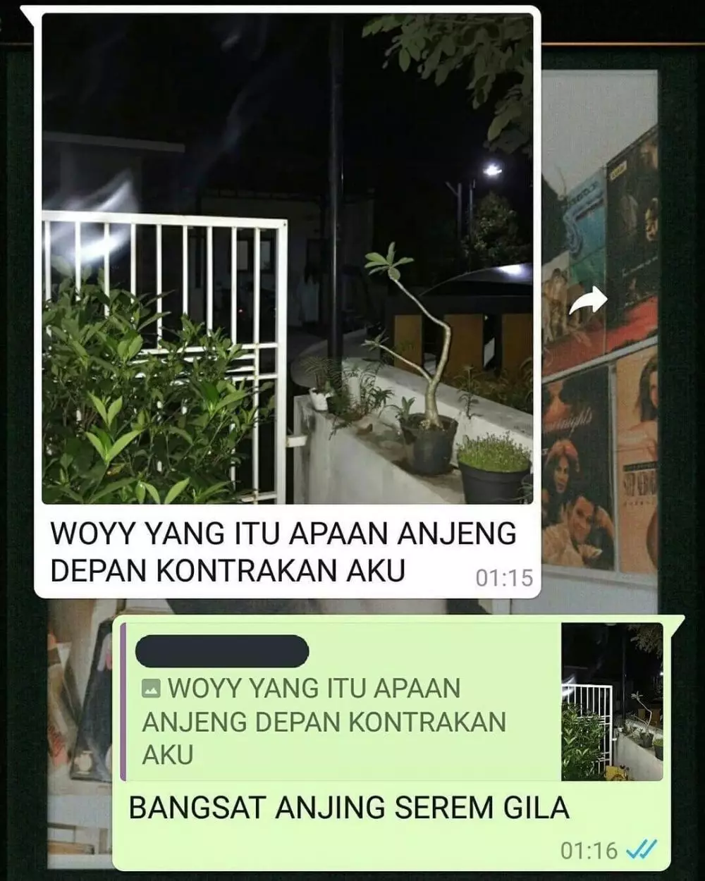 chat lucu pengen pamer © 2020 instagram.com