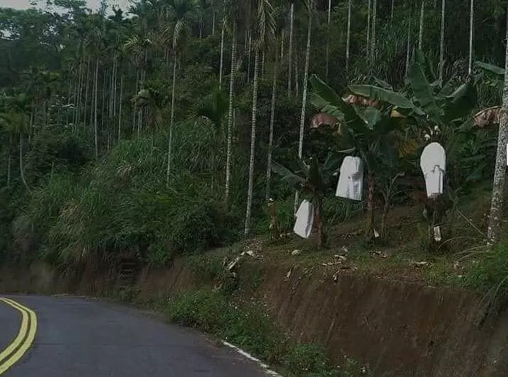 penampakan seram di tempat umum © 2020 instagram.com