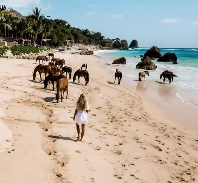 Potret resort Nihiwatu Rachel Vennya Twitter/@_doraredre