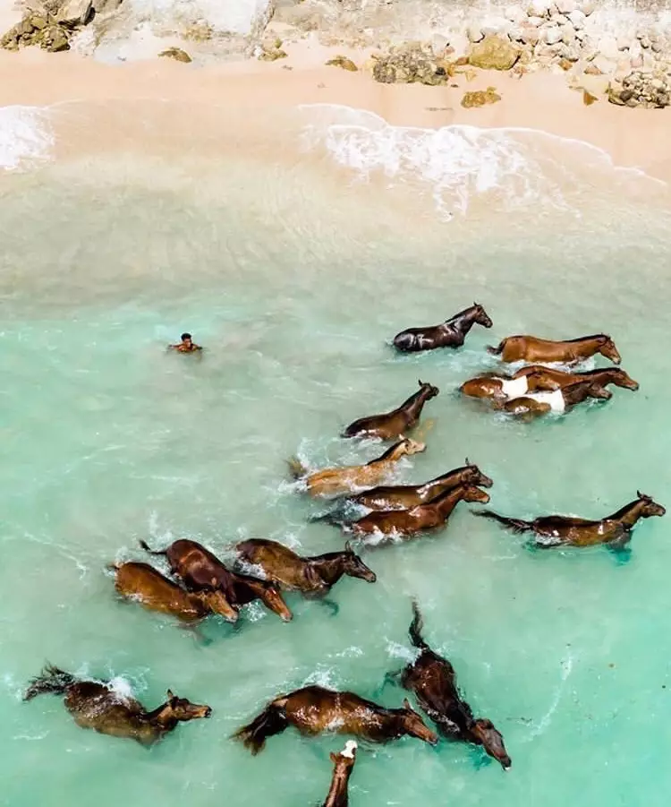 Potret resort Nihiwatu Rachel Vennya Twitter/@_doraredre