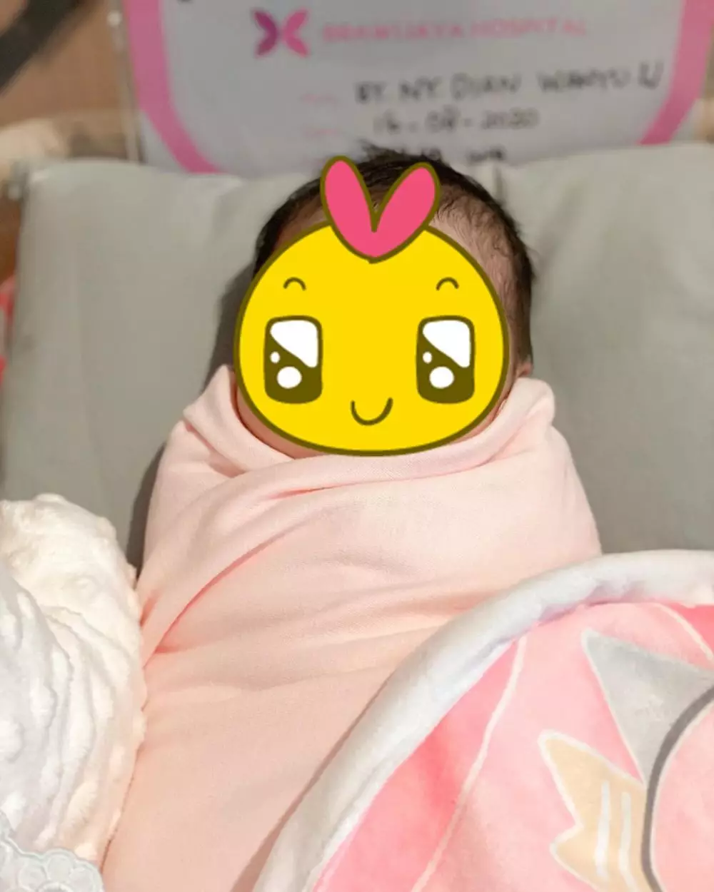 Potret perjuangan Dian Pelangi Instagram