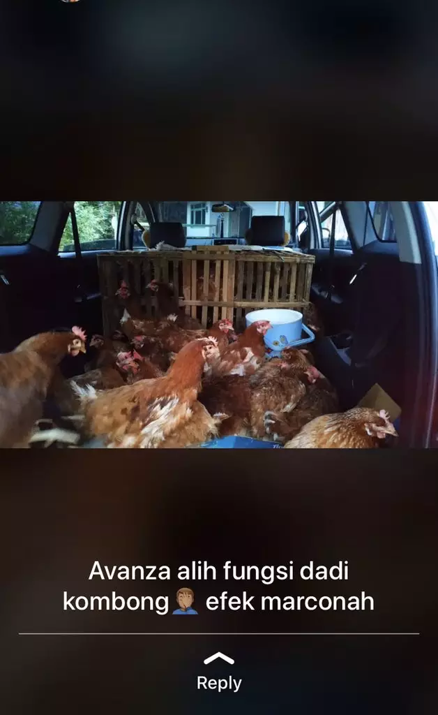 pedagang jualan pakai mobil Instagram