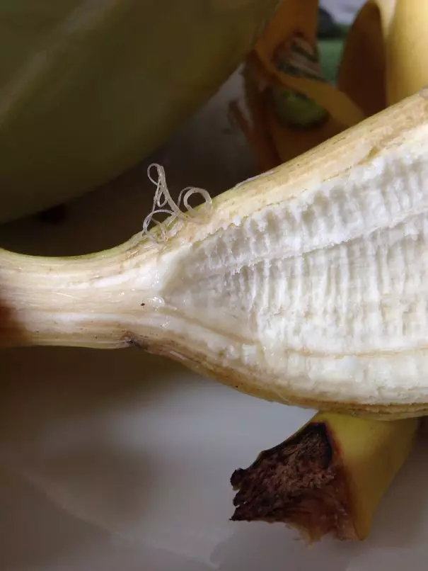 aksi nggak sengaja endingnya artistik Berbagai Sumber aksi nggak sengaja endingnya artistik Berbagai Sumber