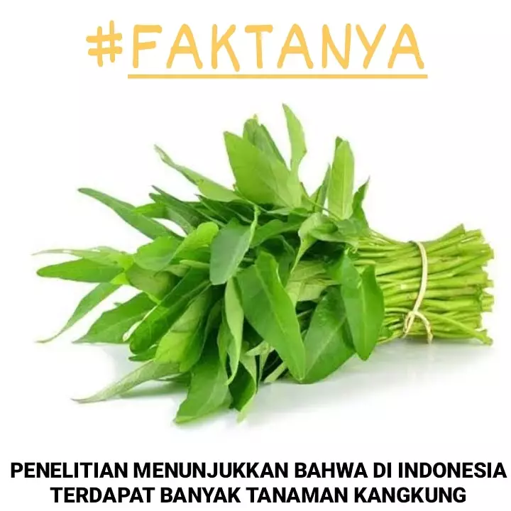 Meme ilmu pengetahuan Berbagai sumber