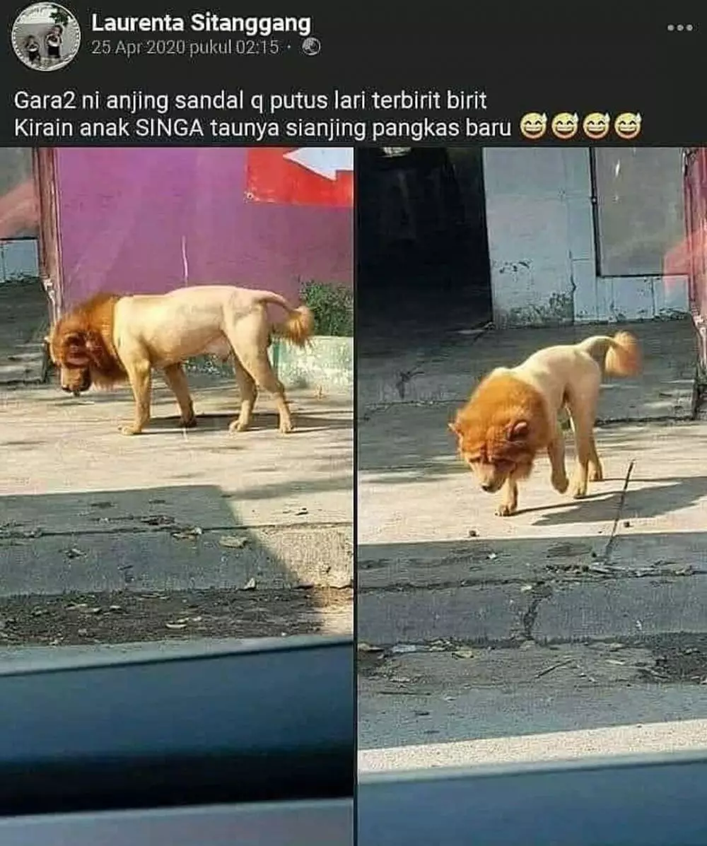 momen panik di keseharian © 2020 instagram.com