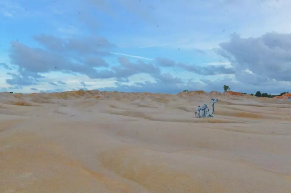 Gurun Telaga Biru Bintan Kepri © 2020 brilio.net