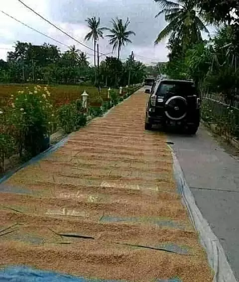 momen membingungkan pengendara © 2020 instagram.com momen membingungkan pengendara © 2020 instagram.com