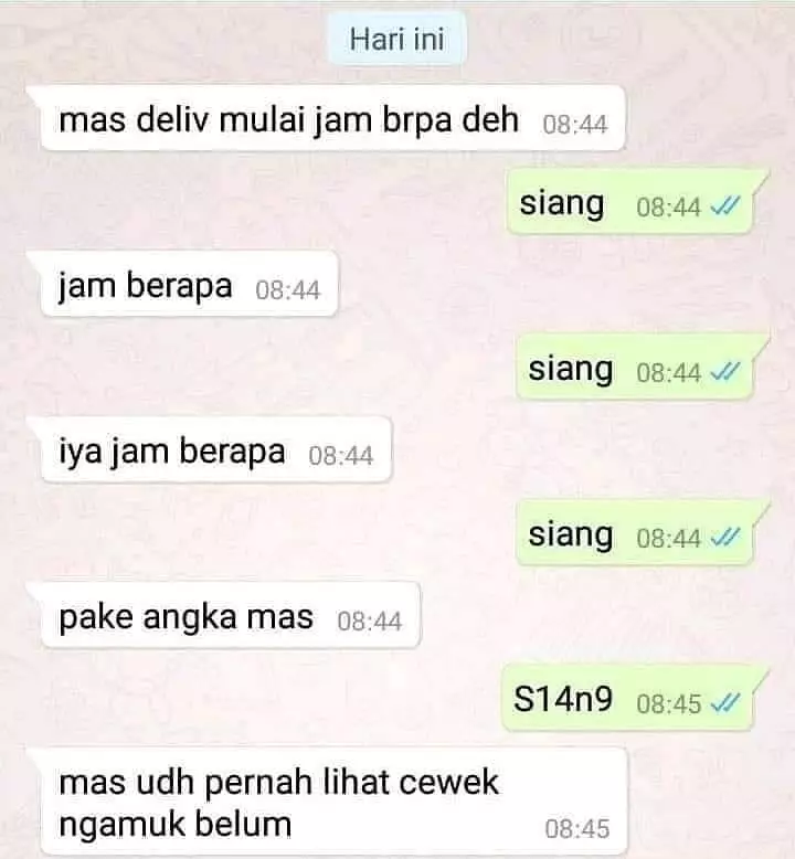 Dari "Halo Kak" Hingga "Kode Unik": Petualangan Menggelitik di Dunia Chat Penjual Online Shop