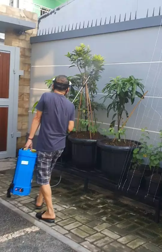 kebun ayah Ayu Ting Ting berbagai sumber