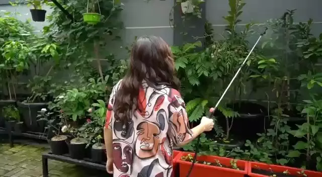 kebun ayah Ayu Ting Ting berbagai sumber