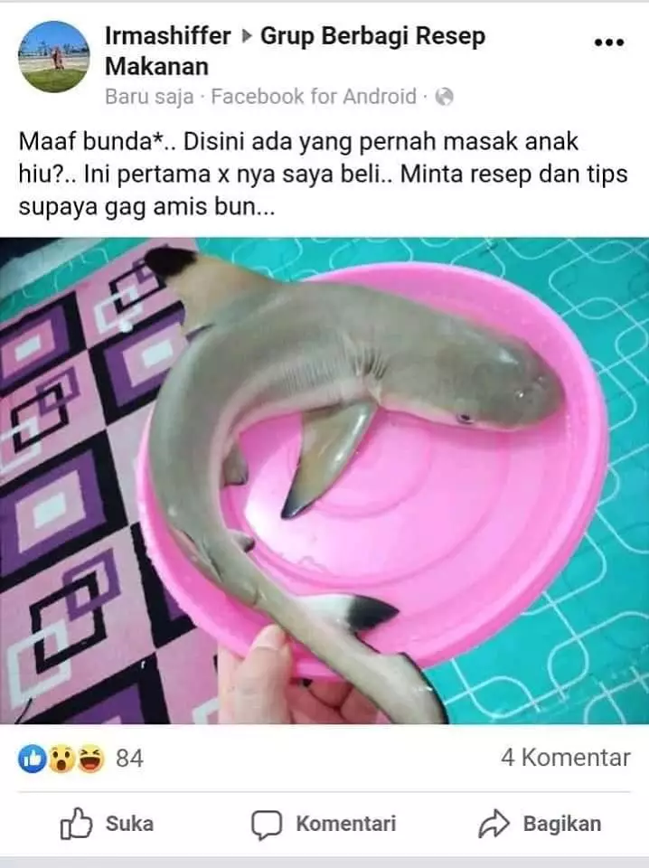 pertanyaan kaum emak di FB Facebook