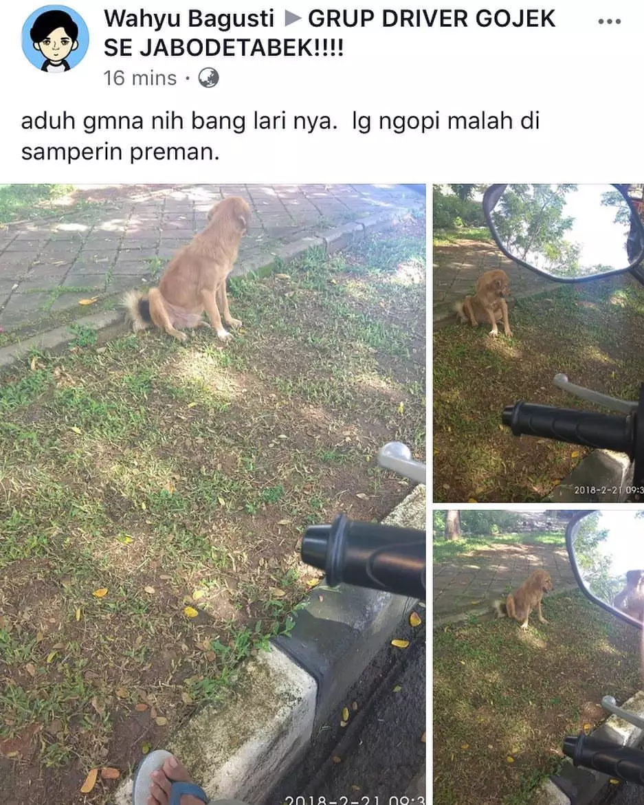 Momen absurd driver ojek online Instagram