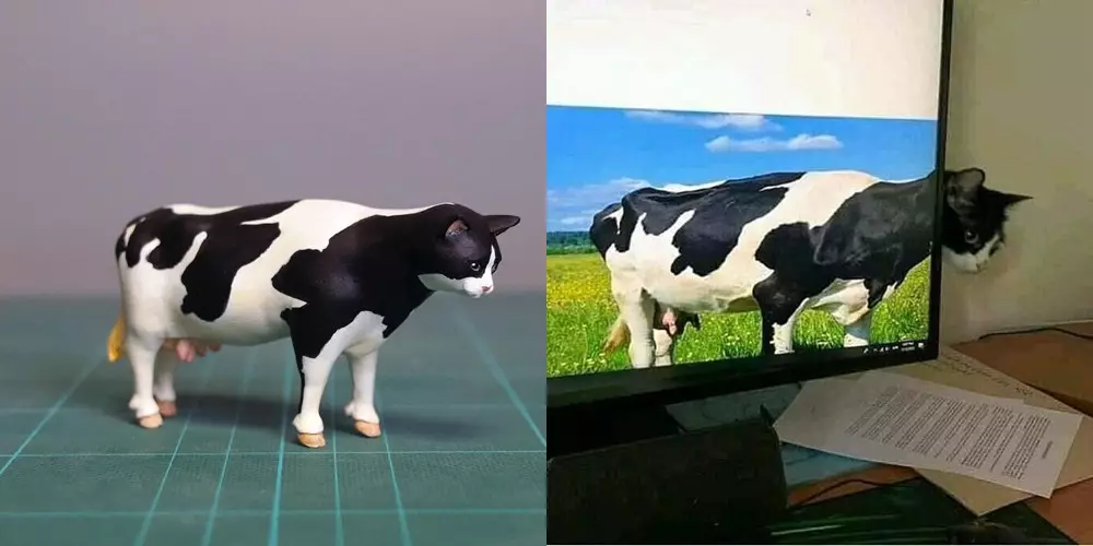 Momen hewan dijadikan miniatur Twitter/@meetissai Momen hewan dijadikan miniatur Twitter/@meetissai