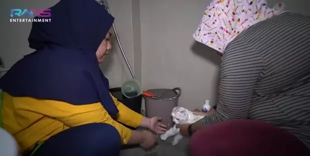 Perawatan kucing Nagita Slavina © 2020 brilio.net Perawatan kucing Nagita Slavina © 2020 brilio.net