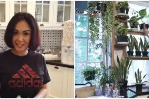 9 Potret dapur Yuni Shara, penuh dengan tanaman hijau