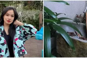 8 Potret vila Titi Kamal lama tak disewakan, banyak perabot rusak