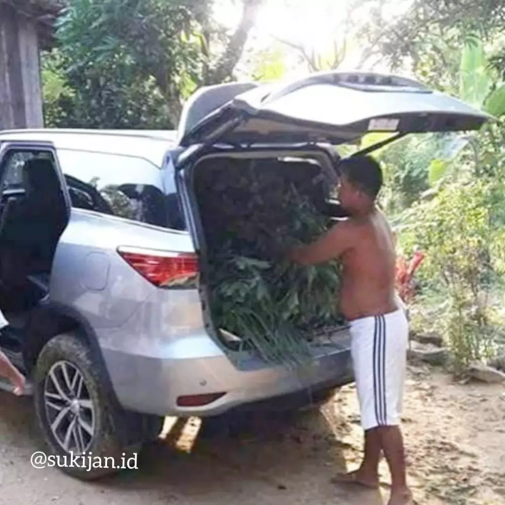 potret lucu orang ke sawah © 2020 instagram.com