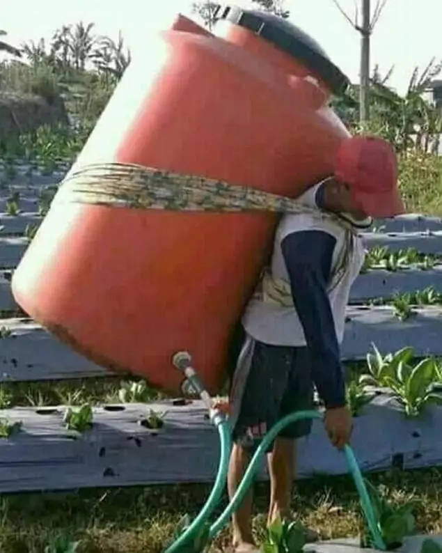 potret lucu orang ke sawah © 2020 instagram.com