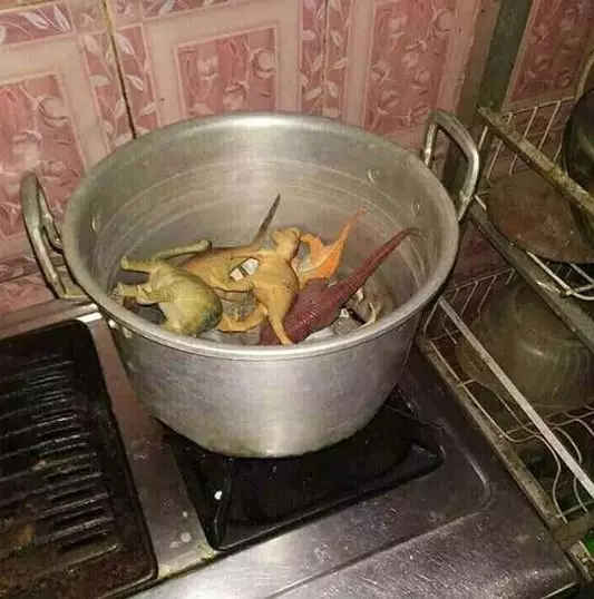 tingkah iseng pakai barang di rumah © 2020 instagram.com