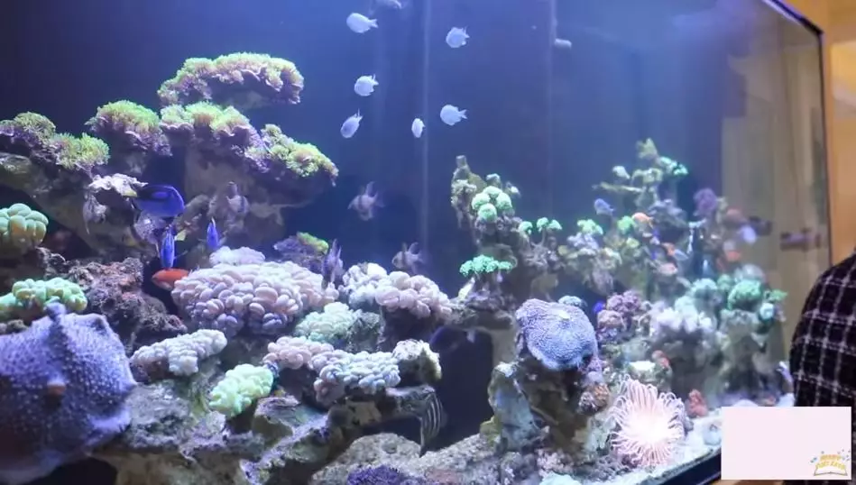 Potret rumah mewah Jordi Onsu © 2020 YouTube/YukiKato