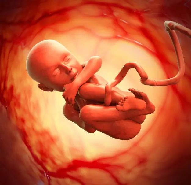 Telur untuk bumil © 2020 brilio.net