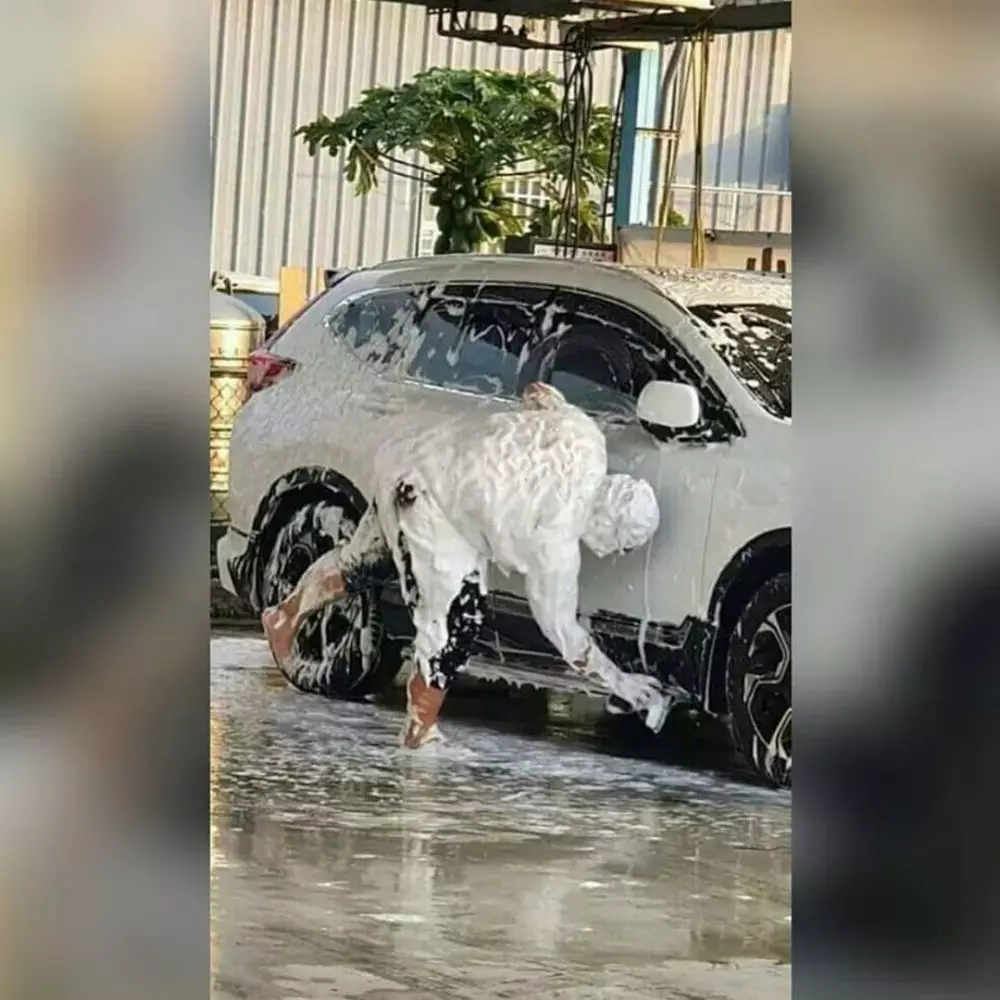 bapak-bapak saat bekerja Instagram bapak-bapak saat bekerja Instagram