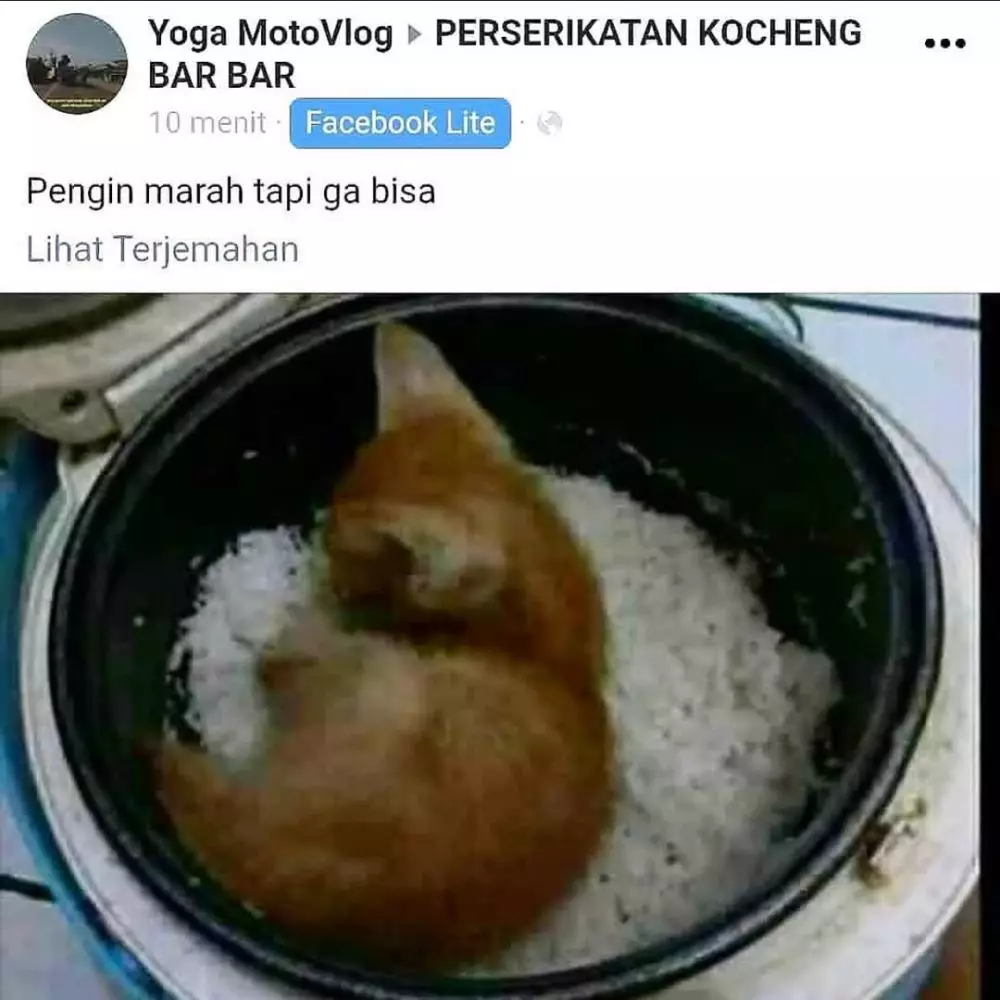 status FB pengen marah © 2020 instagram.com