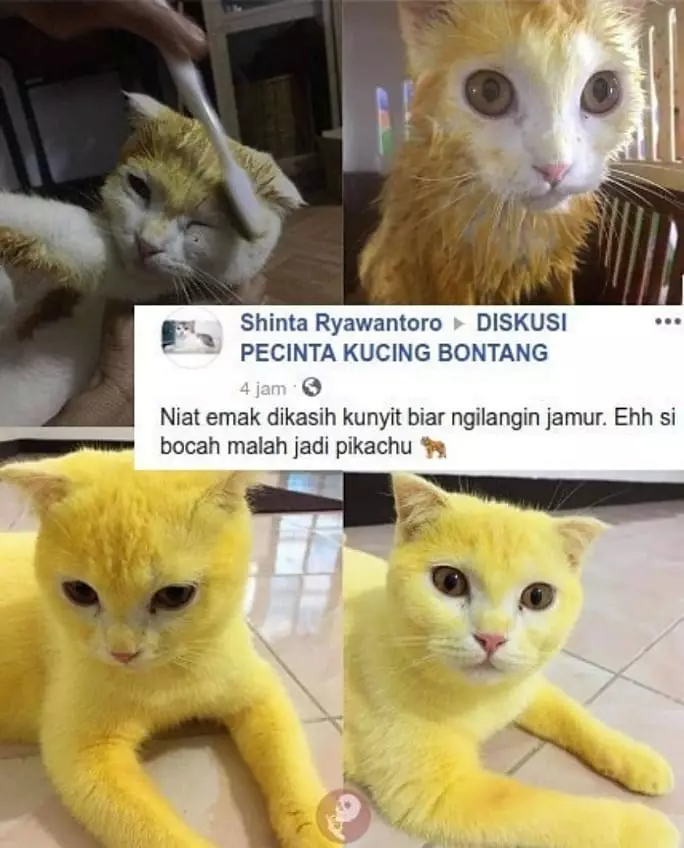 status FB pengen marah © 2020 instagram.com