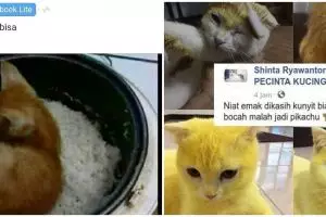 10 Status FB lucu pengen marah ini bikin geleng kepala