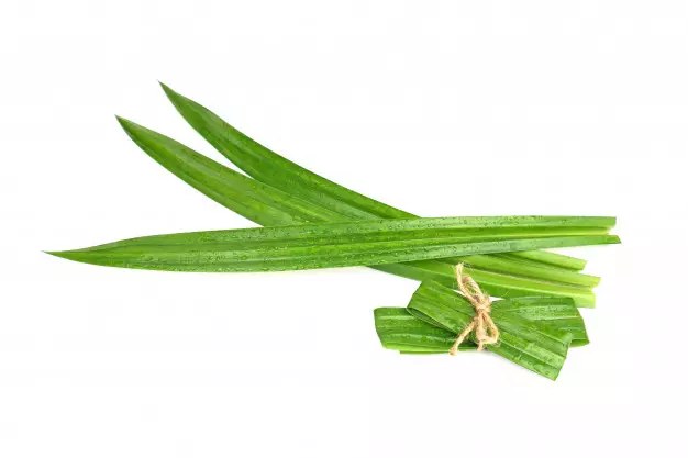 manfaat daun pandan kesehatan freepik