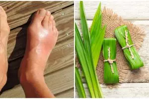 12 Manfaat daun pandan untuk kesehatan dan cara pakainya