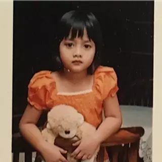 Transformasi Hanin Dhiya Berbagai sumber