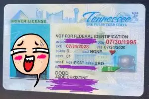 Tanpa wajah, pasfoto SIM wanita ini bikin tepuk jidat