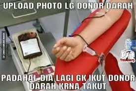 jokes donor darah lucu berbagai sumber