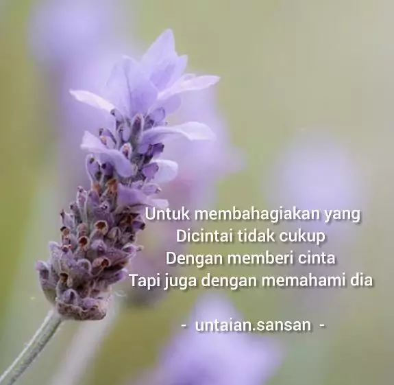Quote cinta bijak inspiratif © berbagai sumber Quote cinta bijak inspiratif © berbagai sumber