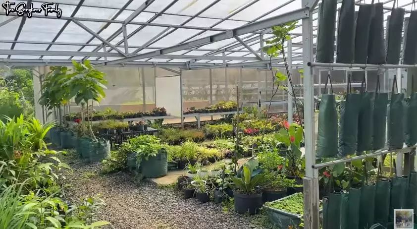 Potret terbaru Mark Sungkar fokus jadi petani © 2020 YouTube/The Sungkar Family