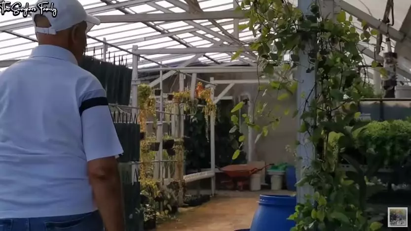Potret terbaru Mark Sungkar fokus jadi petani © 2020 YouTube/The Sungkar Family