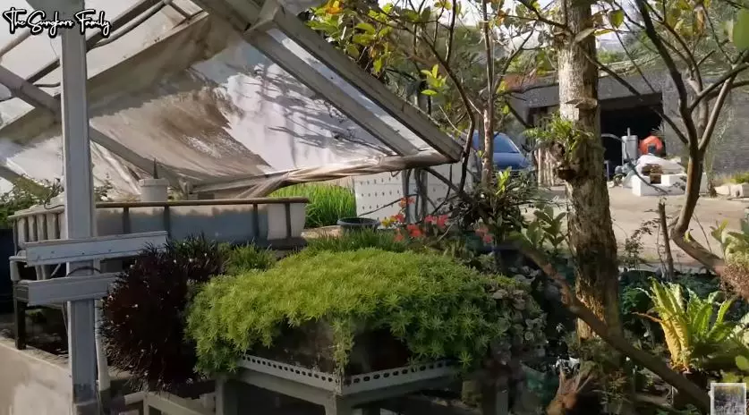 Potret terbaru Mark Sungkar fokus jadi petani © 2020 YouTube/The Sungkar Family