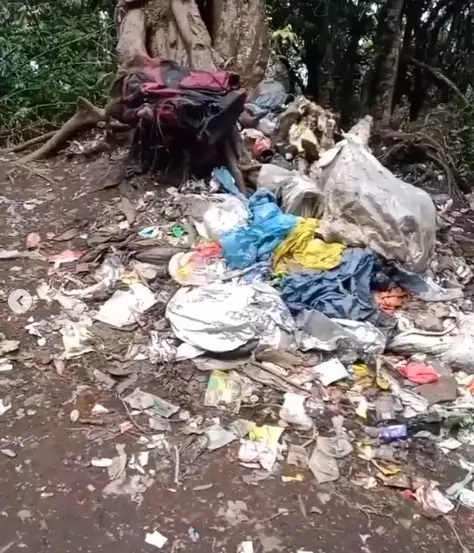 Potret sampah Gunung Dempo Berbagai sumber