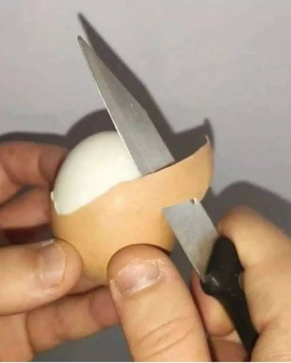 cara makan absurd berbagai sumber