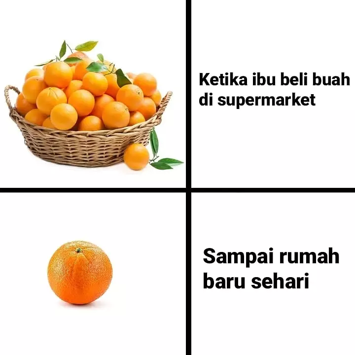 Meme beda buah Berbagai sumber Meme beda buah Berbagai sumber