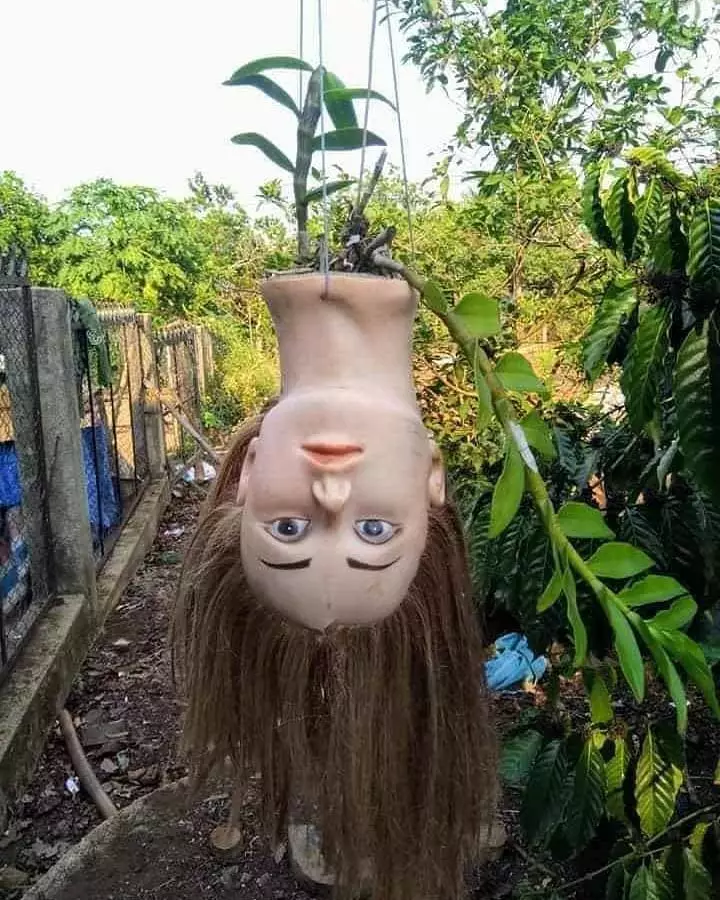 penampakan seram di rumah © 2020 instagram.com penampakan seram di rumah © 2020 instagram.com