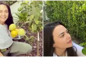 Punya kebun luas, ini 8 momen Preity Zinta petik buah dan sayur