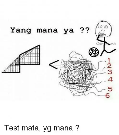 tes mata ngawur berbagai sumber