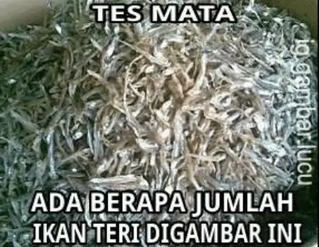 tes mata ngawur berbagai sumber