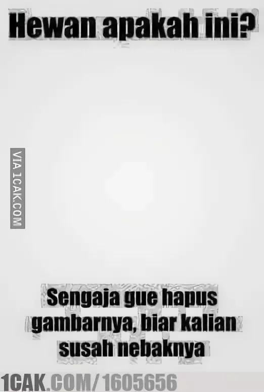 tes mata ngawur berbagai sumber