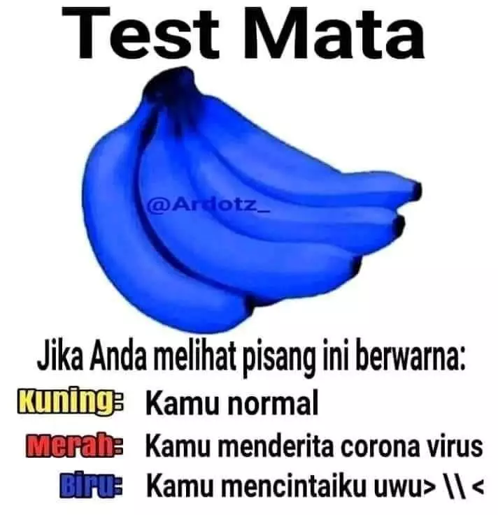 tes mata ngawur berbagai sumber