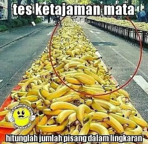 tes mata ngawur berbagai sumber