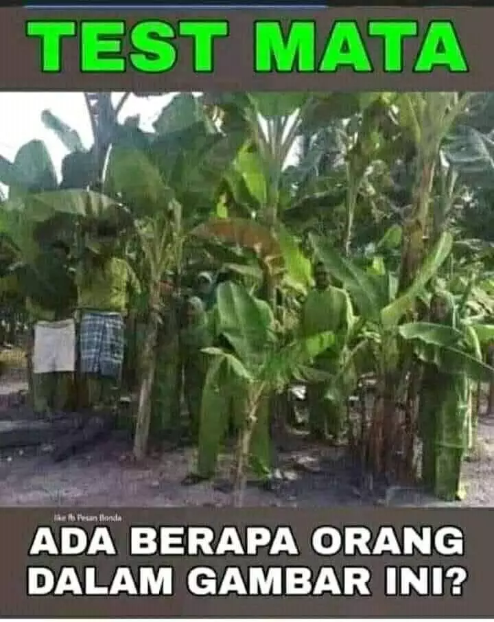 tes mata ngawur berbagai sumber
