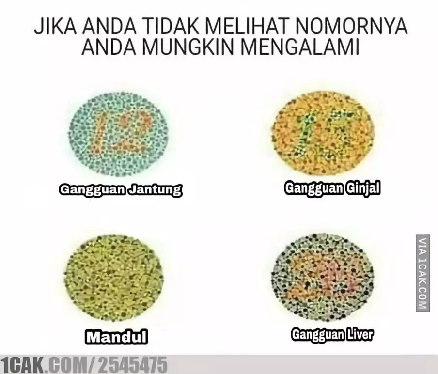 tes mata ngawur berbagai sumber